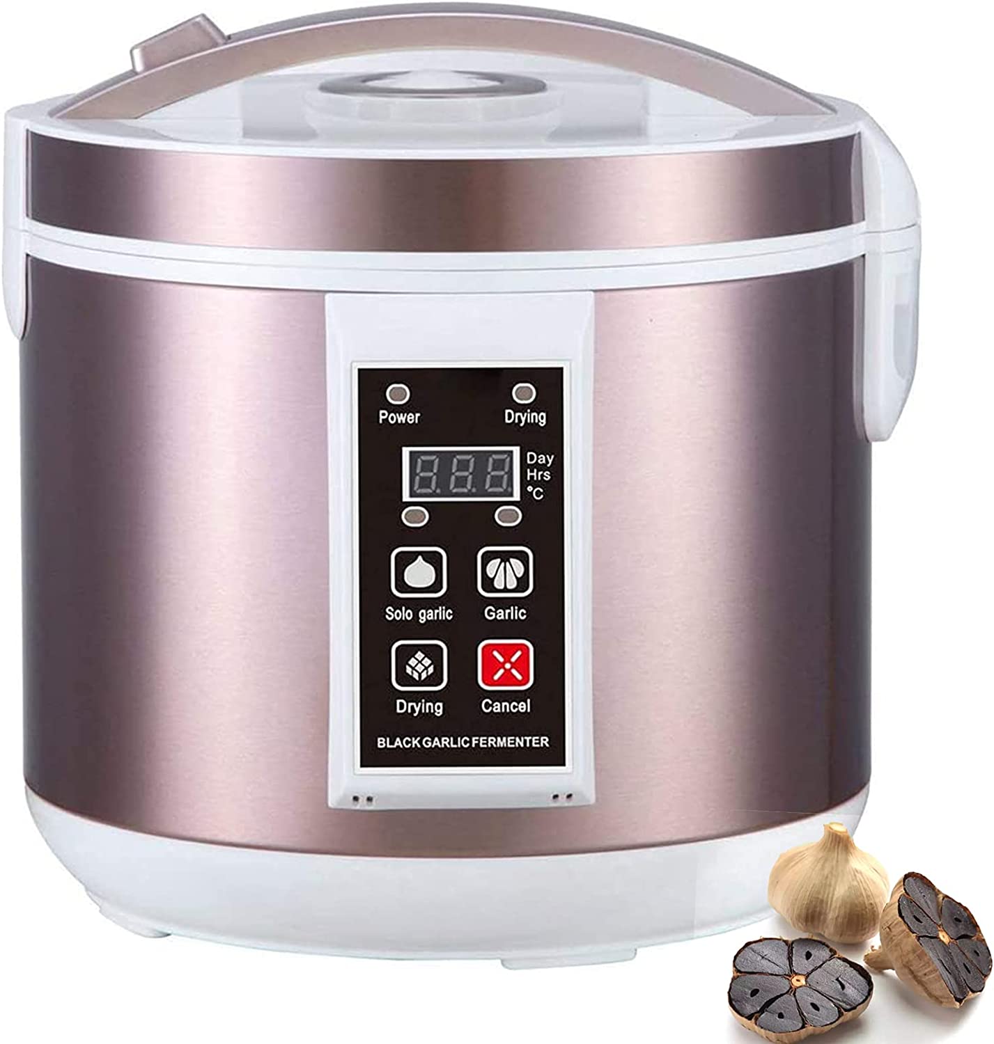 5L Tỏi Đen Fermenter Hoàn Toàn - đánh giá và giá Diy Electronics Starter Kit